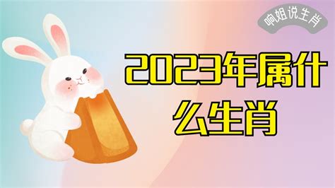 2023年属|2023年属什么生肖